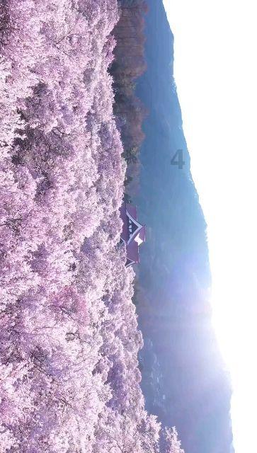 刘树武指导菜子镇董家寺村党支部主题教育专题组织生活会